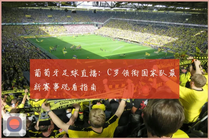 葡萄牙足球直播：C罗领衔国家队最新赛事观看指南