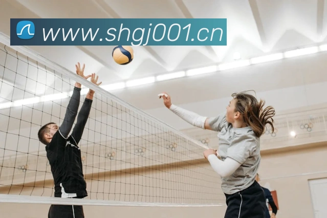 c7网站服务体系